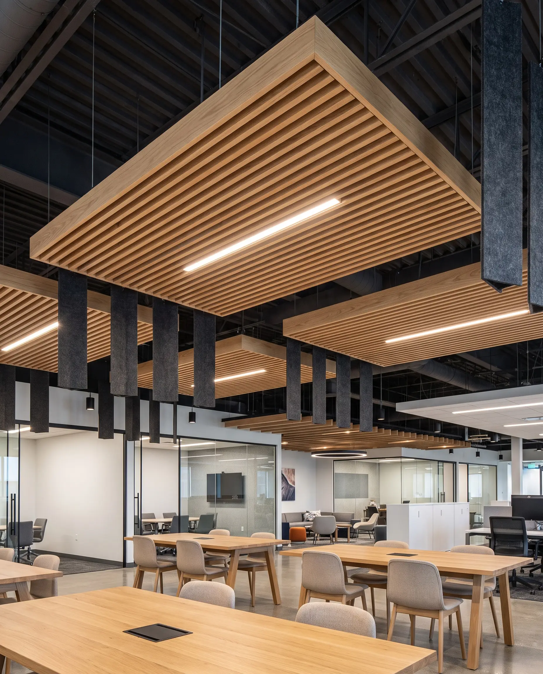 Slatted white oak ceiling clouds and hanging acoustic baffles integrate recessed linear LEDs above collaborative timber work tables in a realistic commercial floorplan.